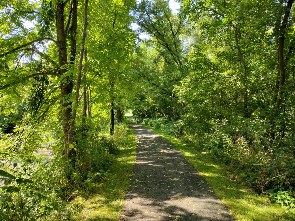 Japan and God’s&nbsp;Creation