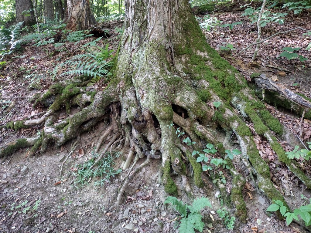 Silent Prayer, Buddhist and&nbsp;Christian